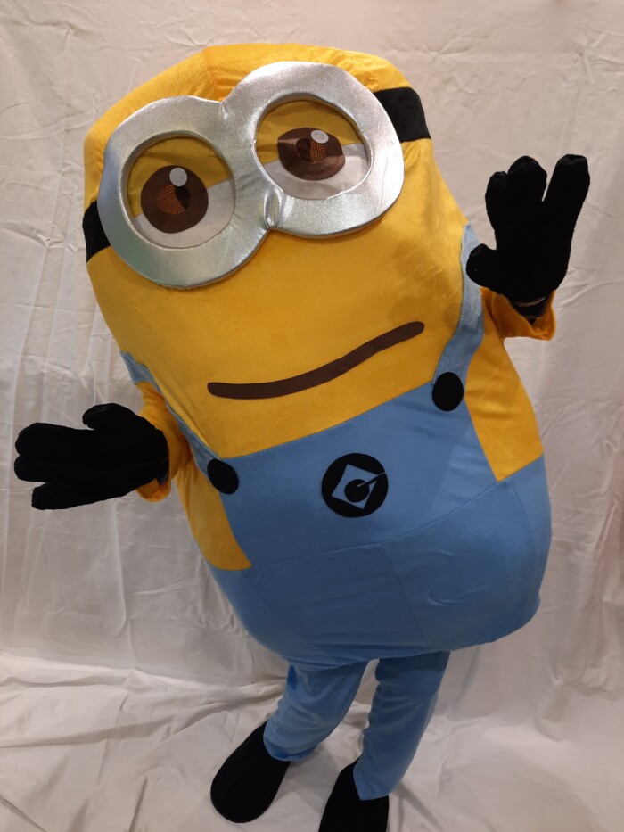 La Boite A Rire Articles De Fetes Rennes Minion